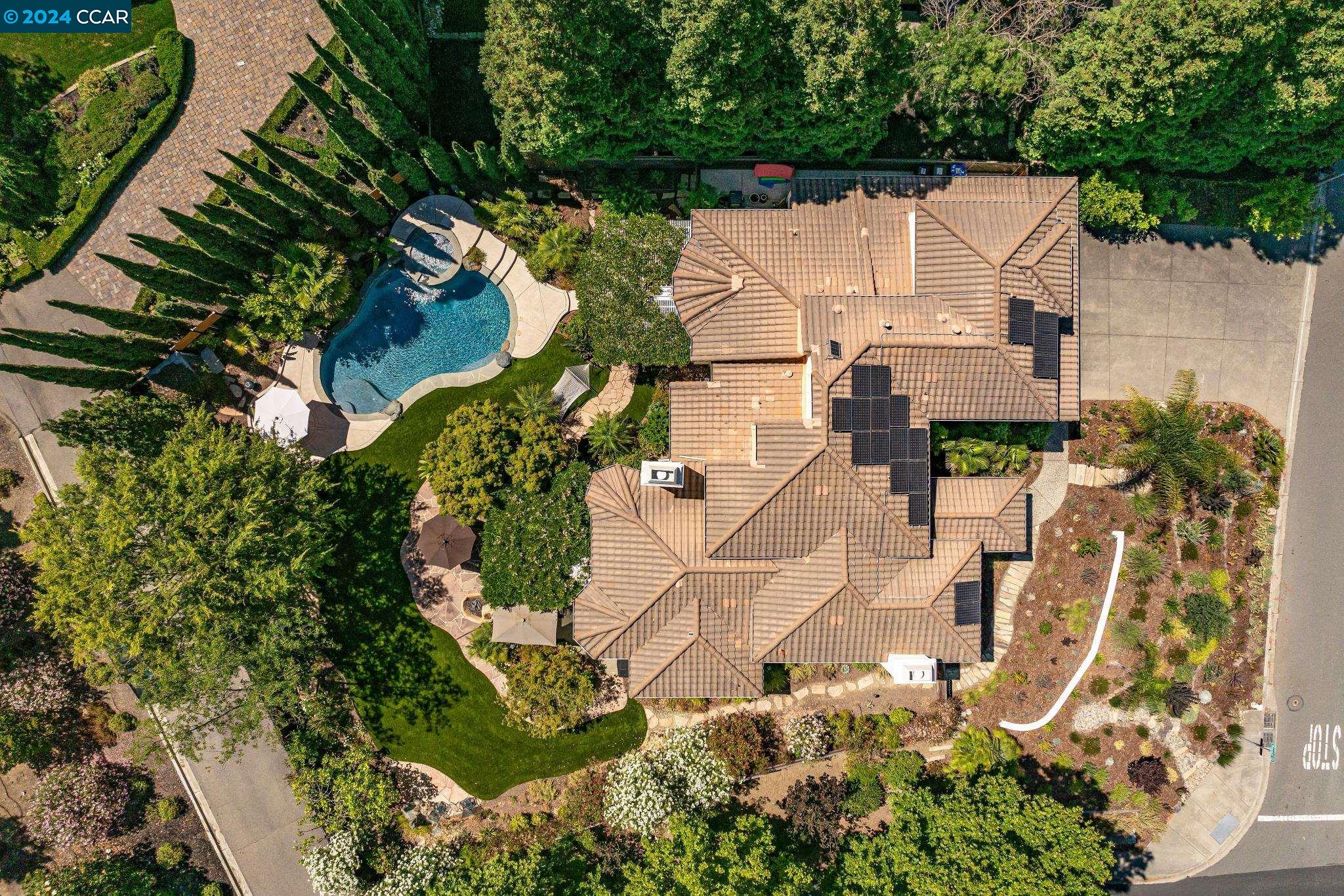 Fabulous custom built Rancho Paraiso home with high ceilings and an open floorplan that was optimized for Feng Shui and located on a rare .42 acre lot with a stunning tropical backyard oasis!! Features include impressive living and dining rooms with two story ceilings, fireplace and sunset views, large gourmet eat-in kitchen adjoins family room with fireplace and overlooking tropical oasis backyard, main floor primary suite with wall of windows and patio door to backyard, two additional bedrooms or offices with closets on main level, upstairs loft or bonus room with 2 additional large bedrooms and views of the Valley, large 3 car garage with extensive built-ins, owned solar for electricity, and a private entertainer's tropical backyard oasis with huge low maintenance lawn, firepit, numerous patios with pergolas, palm and fruit trees, relaxing salt water pool/spa, and so much more... Nearby local trails, Arbolado Park, Shadowbrook Winery, Mt. Diablo, Boundary Oak Golf and Whole Foods Shopping. Excellent Northgate Schools. Video tour at 820Foxtail.com