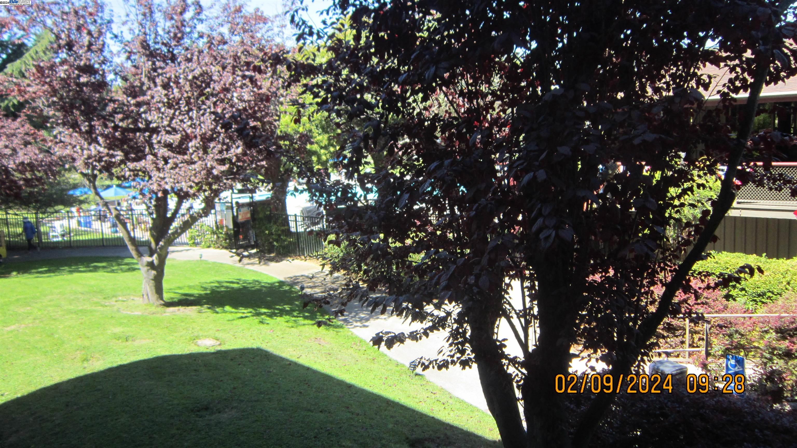 Photo #3: 41075341 Listing 