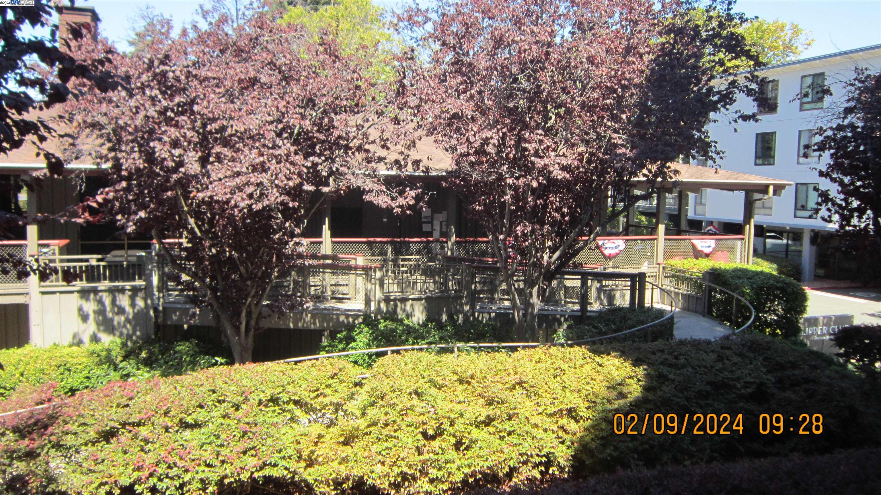 Photo #4: 41075341 Listing 
