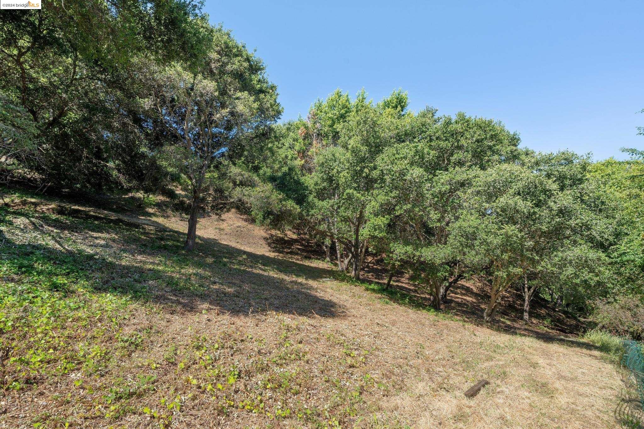 Detail Gallery Image 2 of 11 For 36 Lucille Way, Orinda,  CA 94563 - – Beds | – Baths