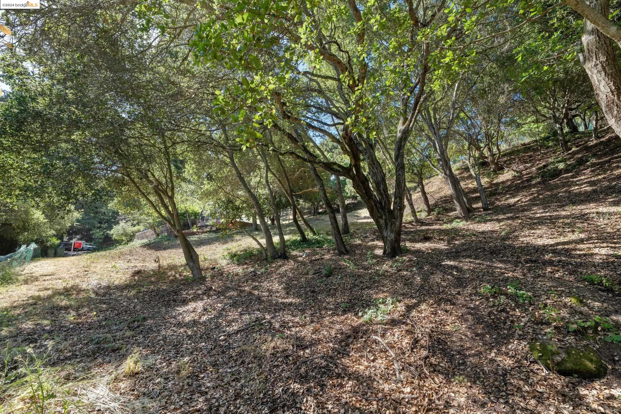 Detail Gallery Image 3 of 11 For 36 Lucille Way, Orinda,  CA 94563 - – Beds | – Baths