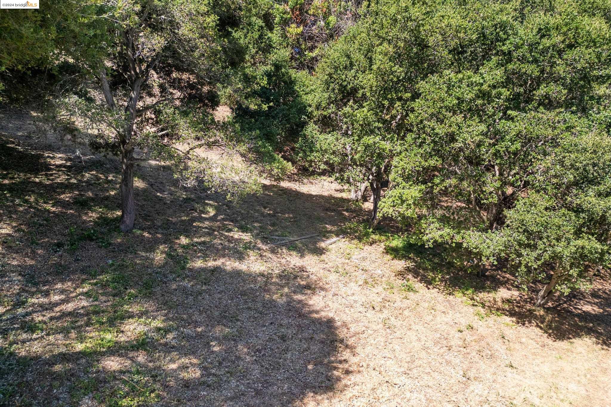 Detail Gallery Image 4 of 11 For 36 Lucille Way, Orinda,  CA 94563 - – Beds | – Baths