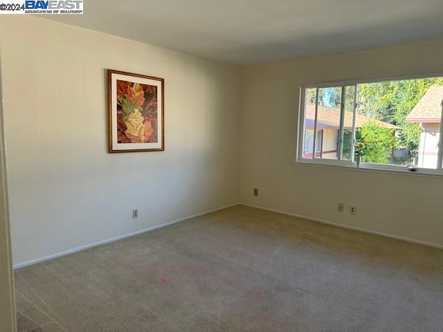 Photo #8: 41076236 Listing: Photo #8