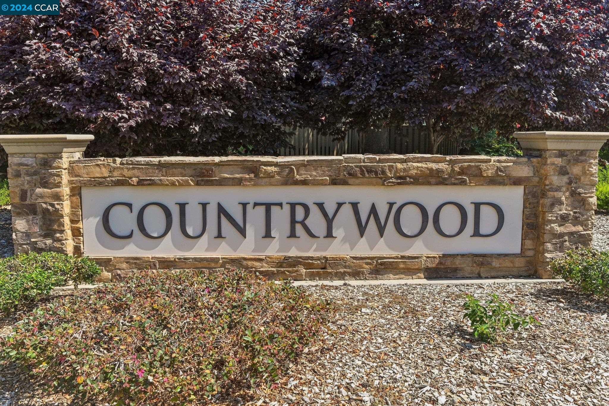 Photo #5: 41076748 Listing 