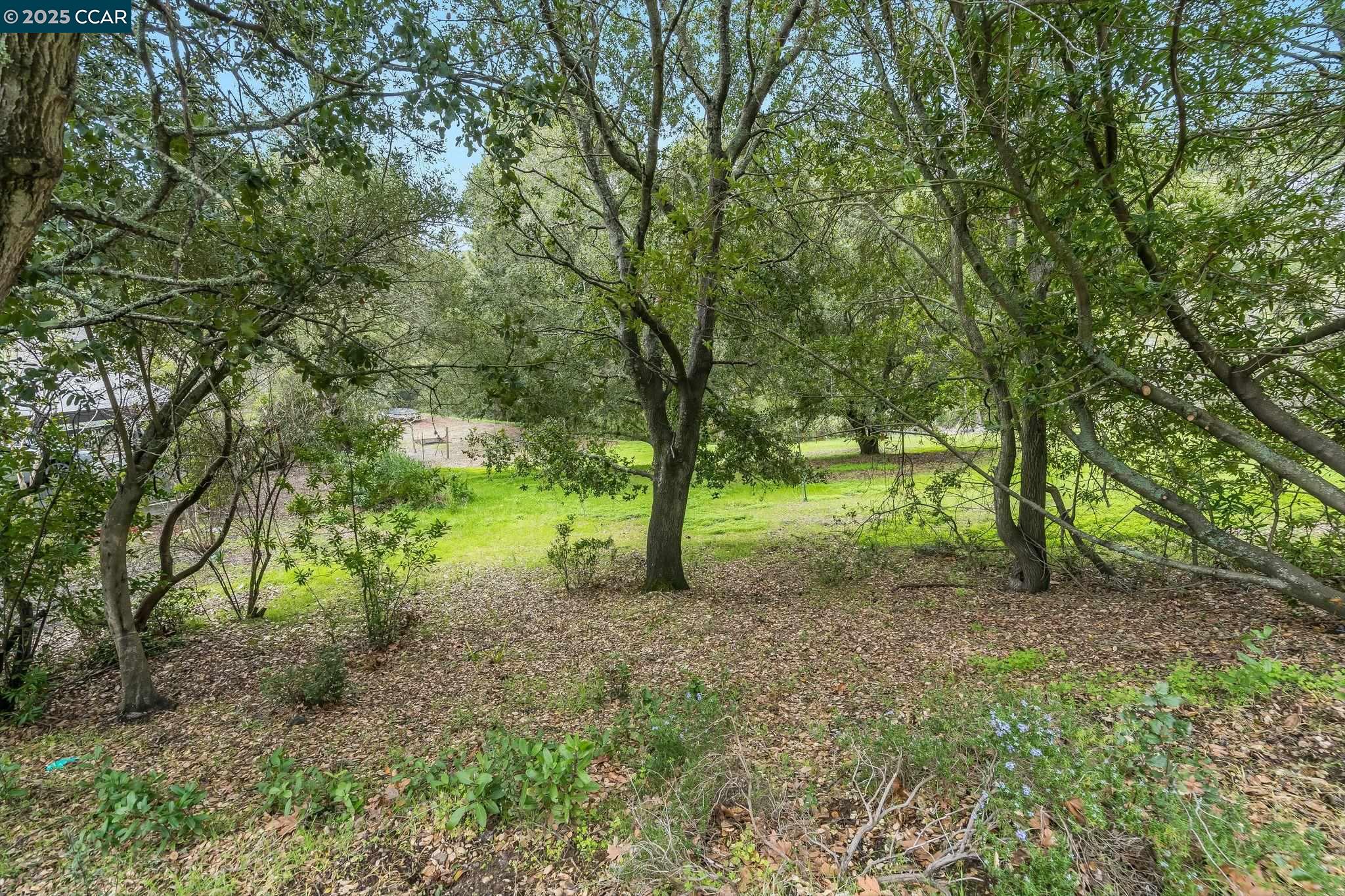 Detail Gallery Image 17 of 18 For 9 Charles Hill Rd, Orinda,  CA 94563 - – Beds | – Baths