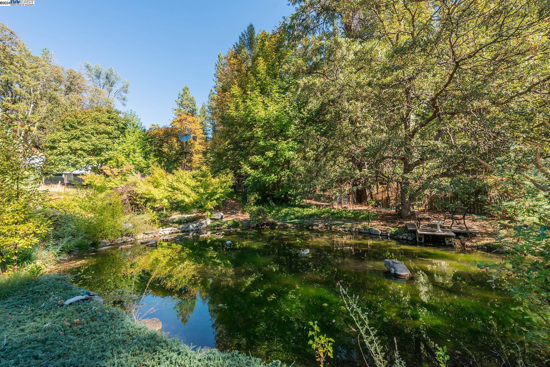 Detail Gallery Image 36 of 50 For 751 Mule Gulch Road, Douglas City,  CA 96024 - 2 Beds | 2 Baths