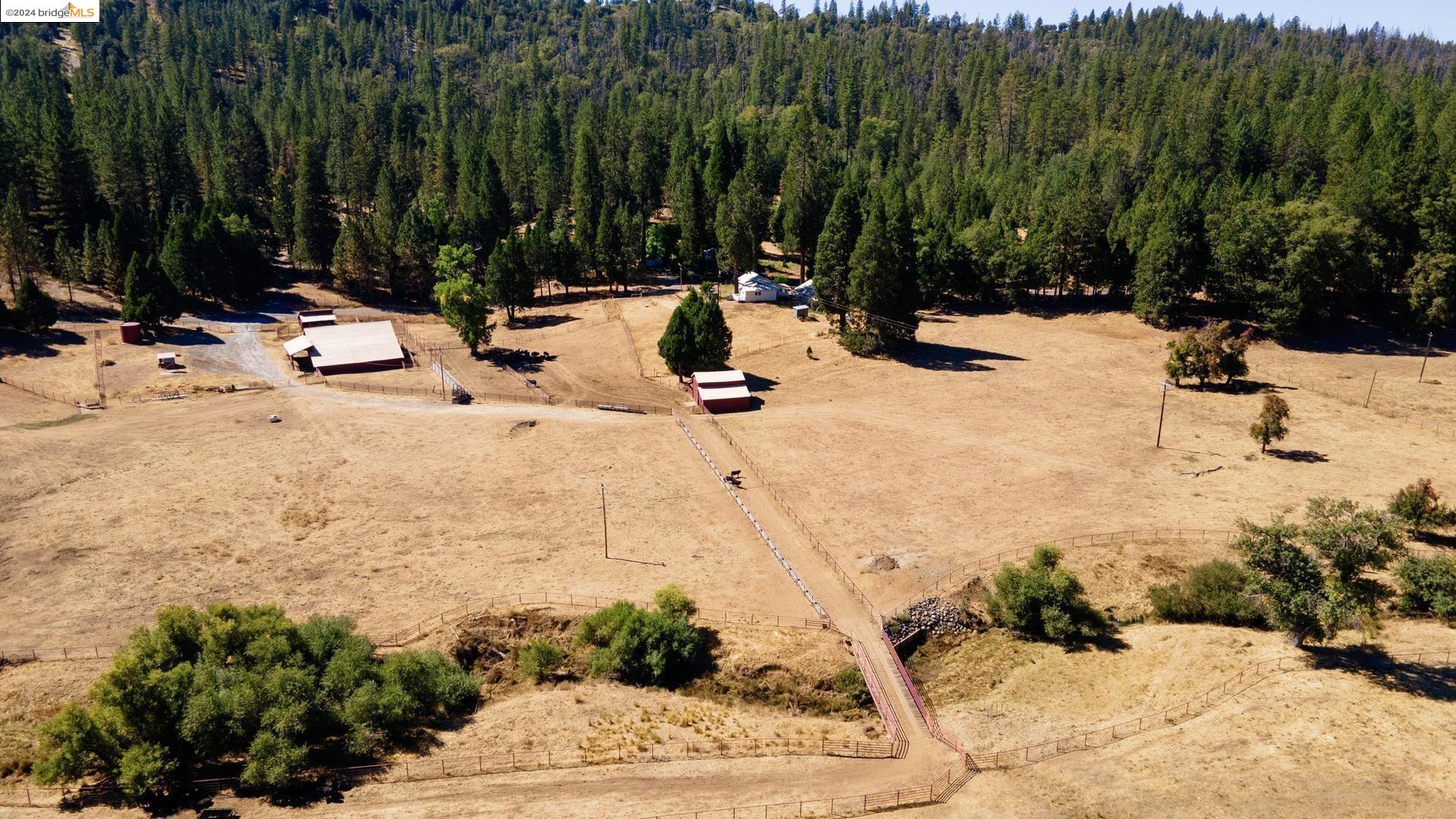 Detail Gallery Image 29 of 53 For 10488 Converse Rd, Coulterville,  CA 95311 - 4 Beds | 2 Baths