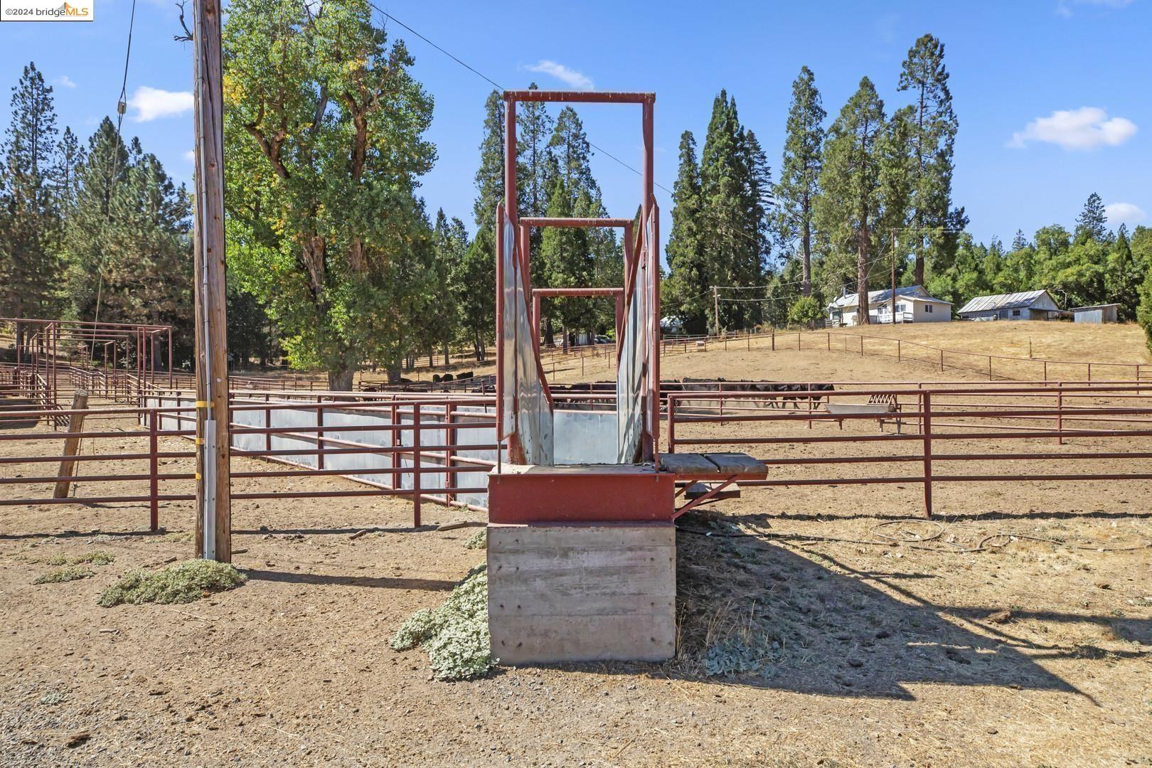 Detail Gallery Image 37 of 53 For 10488 Converse Rd, Coulterville,  CA 95311 - 4 Beds | 2 Baths