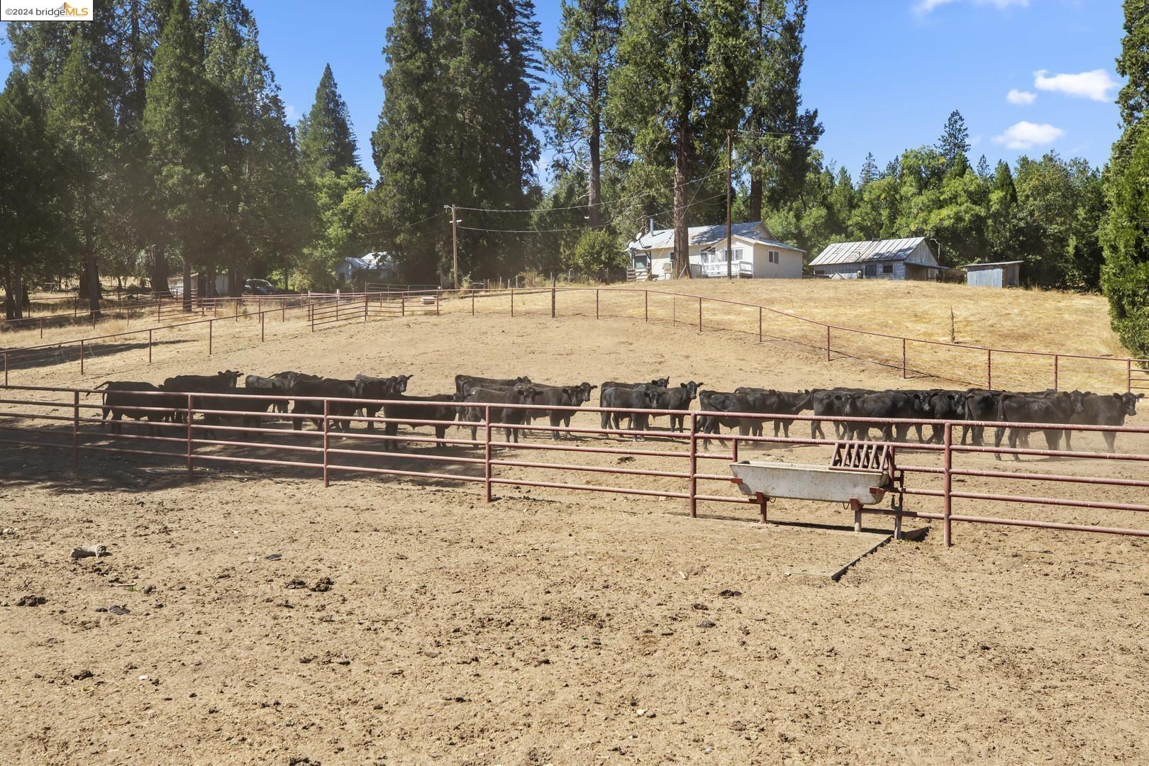 Detail Gallery Image 39 of 53 For 10488 Converse Rd, Coulterville,  CA 95311 - 4 Beds | 2 Baths
