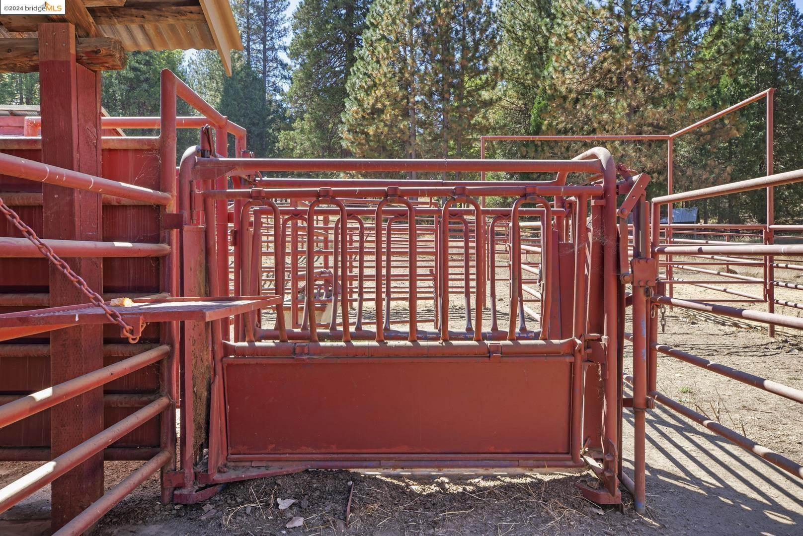Detail Gallery Image 42 of 53 For 10488 Converse Rd, Coulterville,  CA 95311 - 4 Beds | 2 Baths