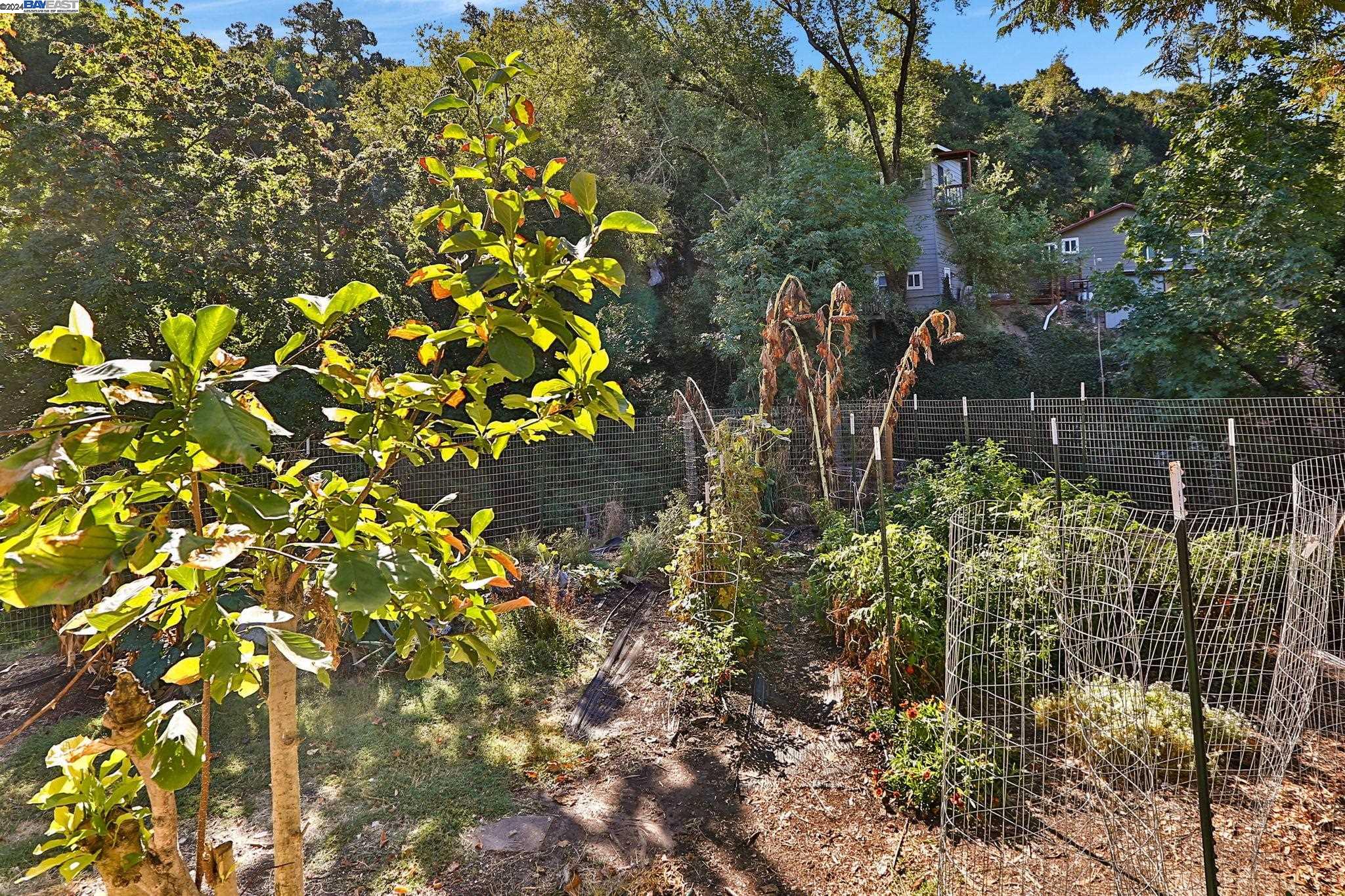 8387 Norris Canyon Rd