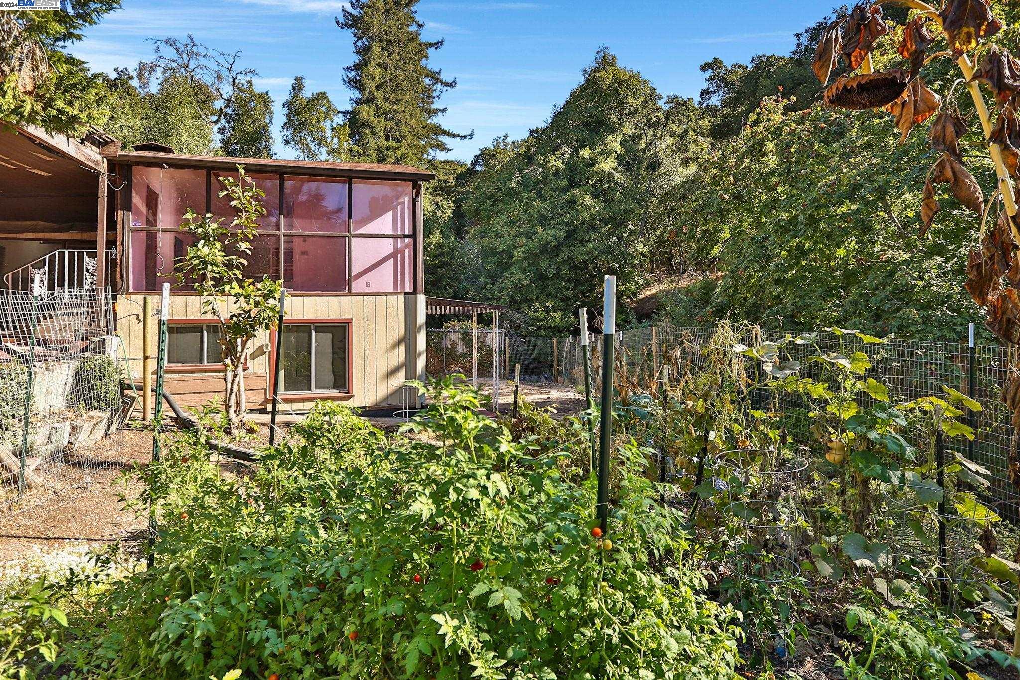 8387 Norris Canyon Rd