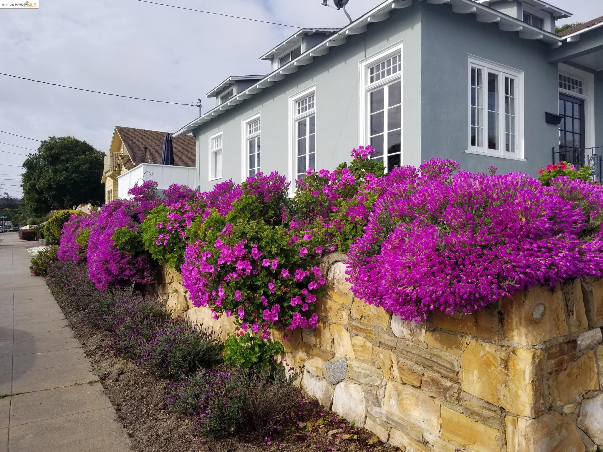 Detail Gallery Image 1 of 28 For 901 W Franklin St, Monterey,  CA 93940 - 4 Beds | 2 Baths