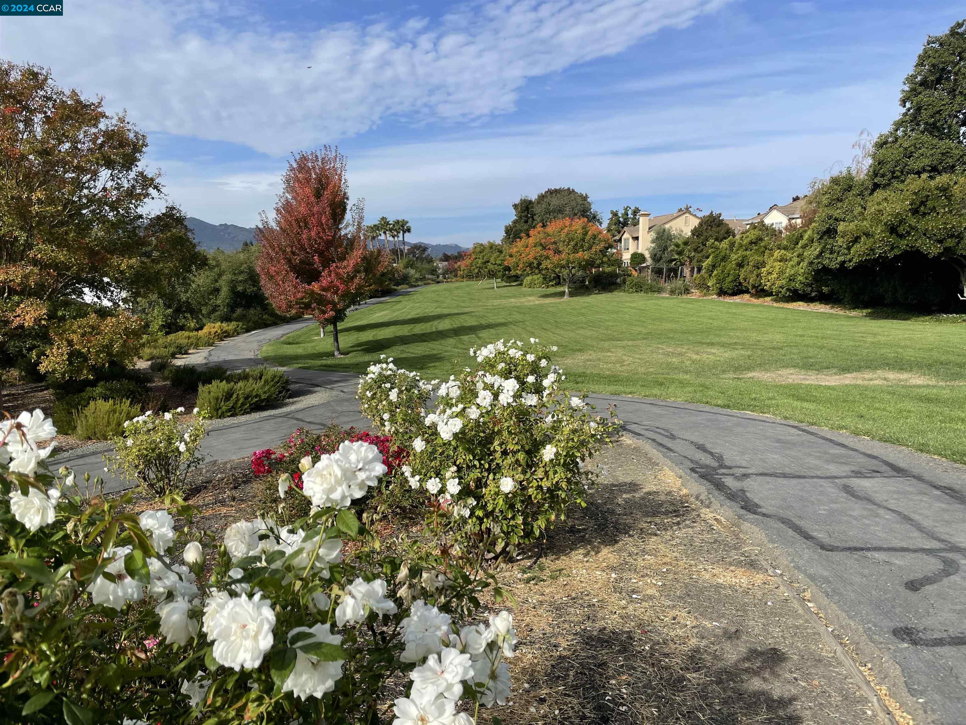 Detail Gallery Image 30 of 30 For 185 Glasgow Cir, Danville,  CA 94526 - 3 Beds | 2 Baths