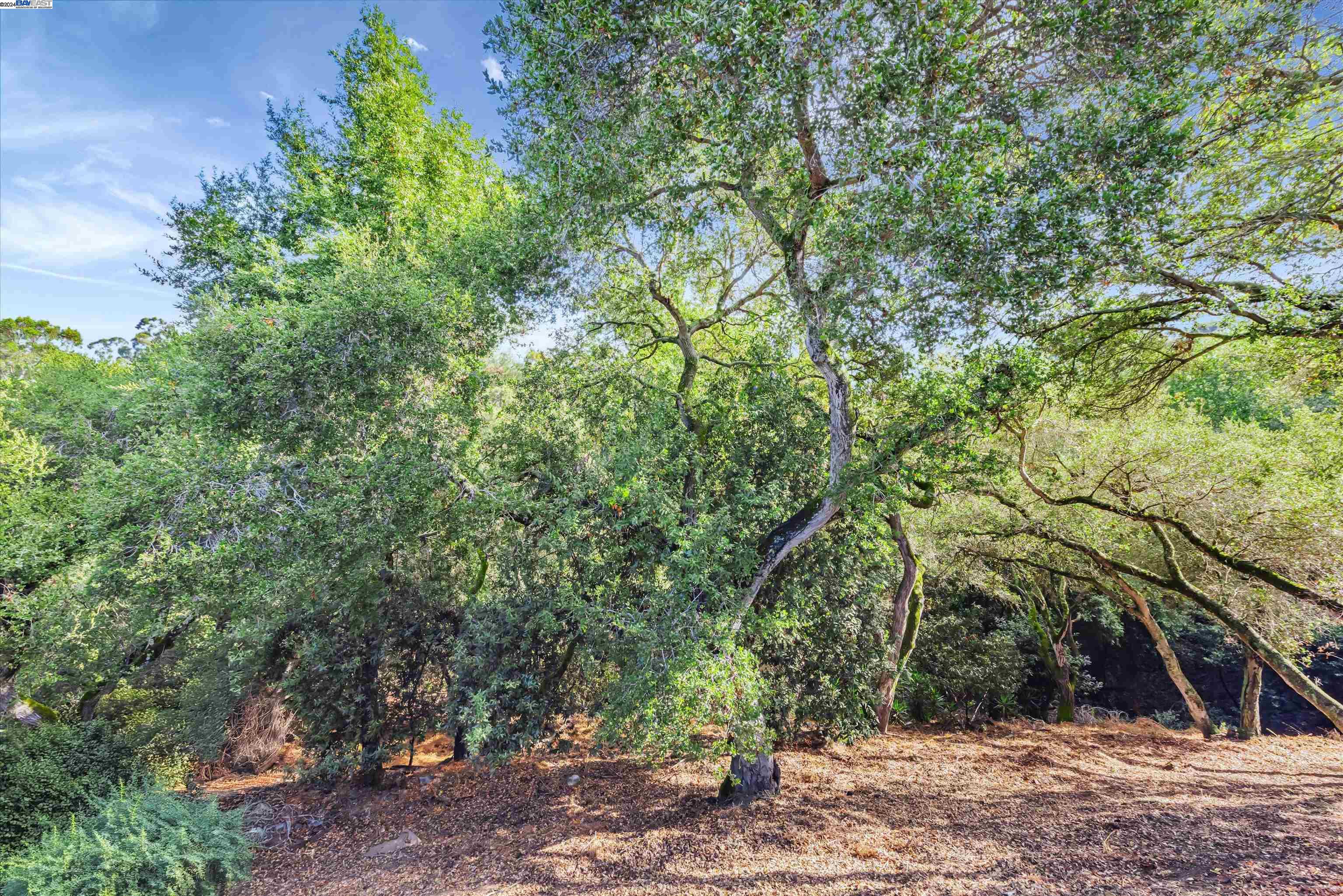 Detail Gallery Image 57 of 58 For 25968 Abbington Pl, Hayward,  CA 94542 - 3 Beds | 2 Baths