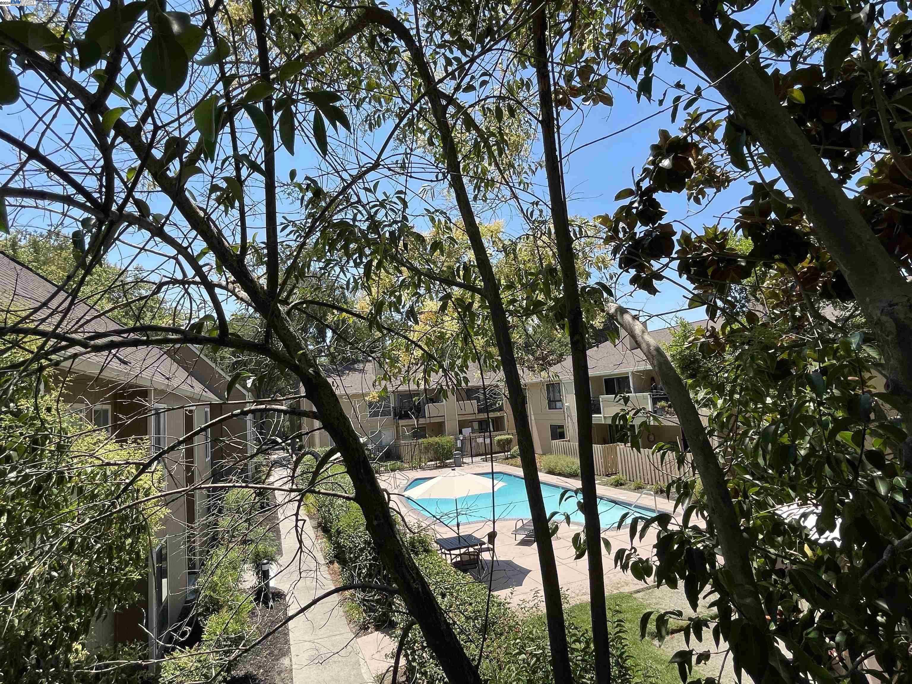 Photo #2: 41078488 Listing 