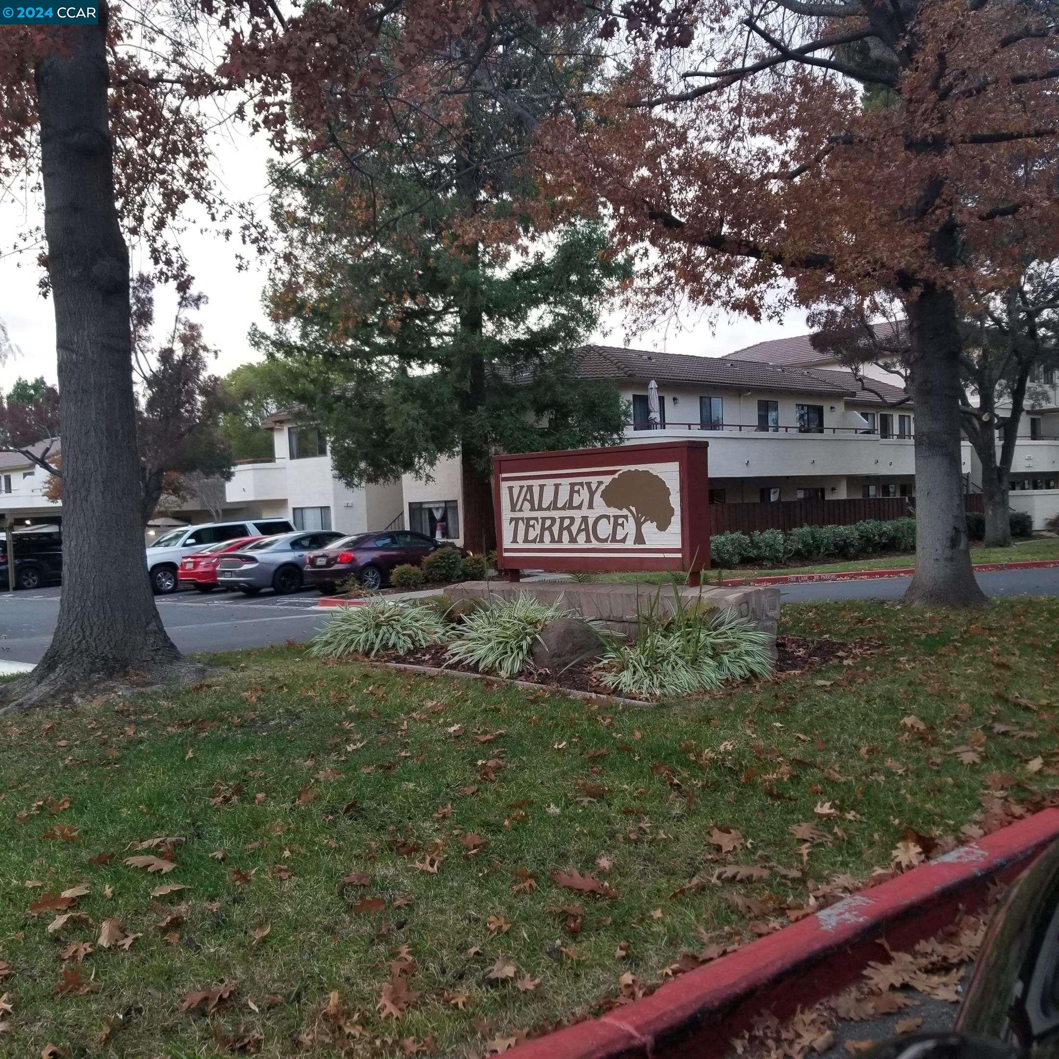 41078971