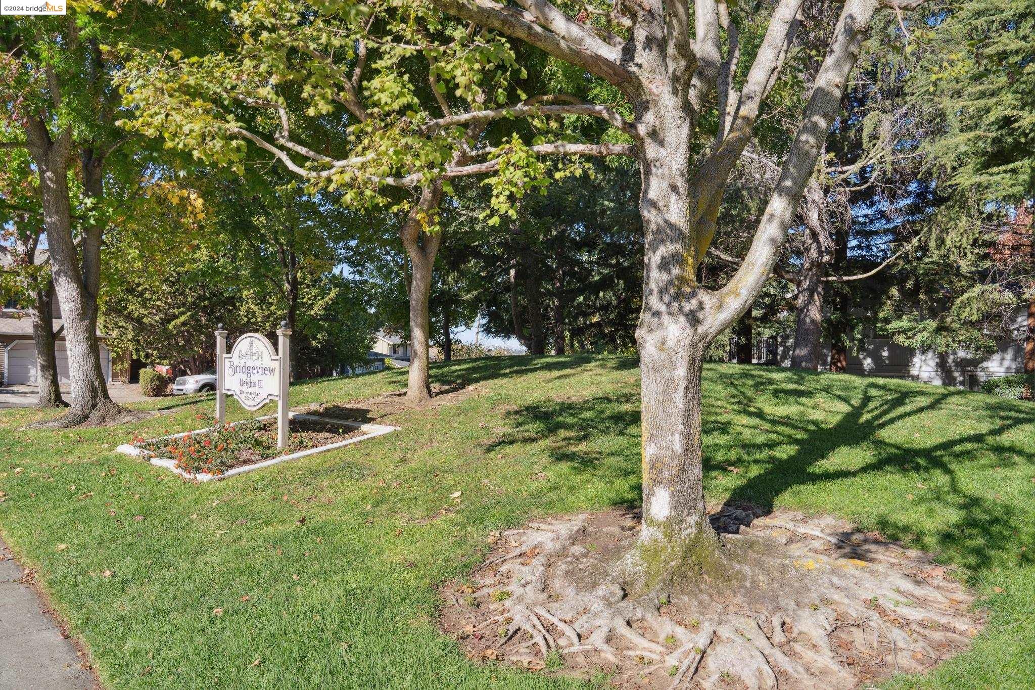1893 Shirley Drive