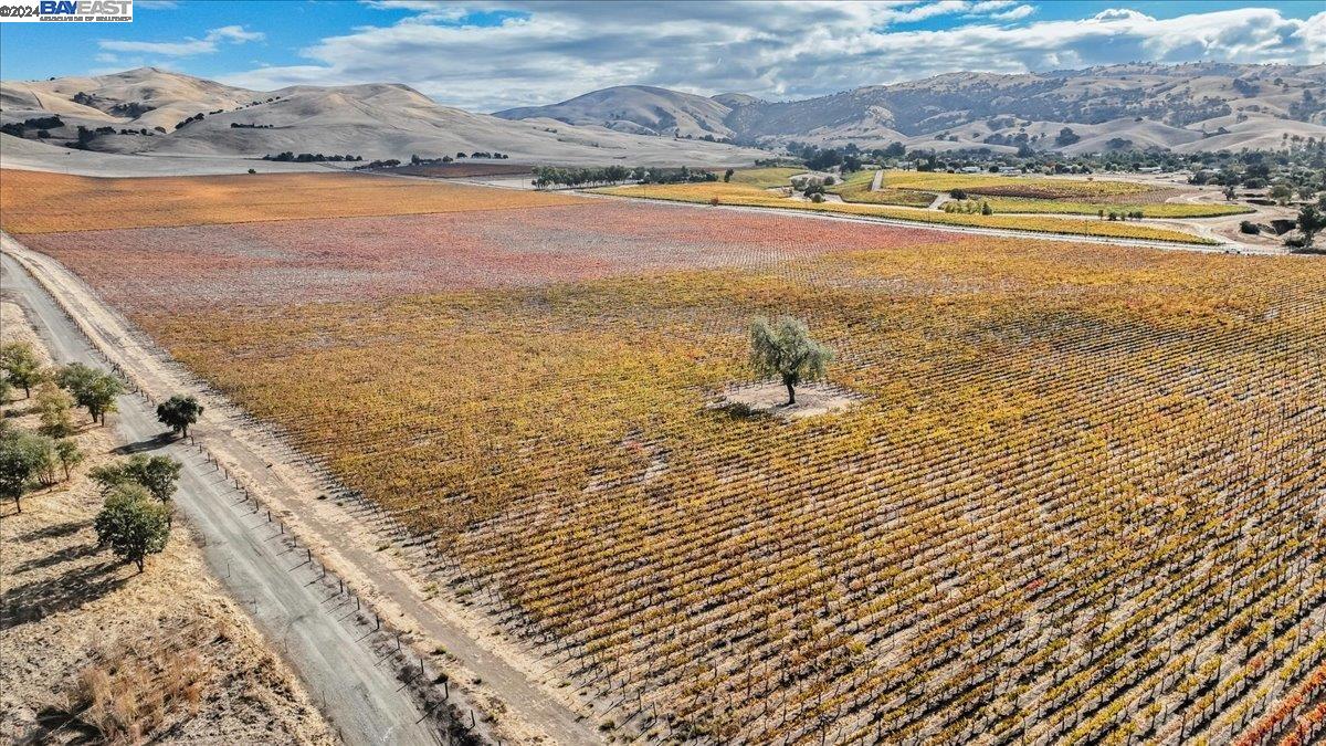 9846 Reuss Rd, Livermore, California 94550, ,Land,For Sale,9846 Reuss Rd,41079189