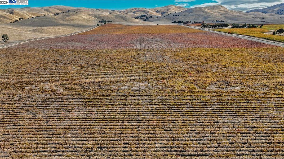 9846 Reuss Rd, Livermore, California 94550, ,Land,For Sale,9846 Reuss Rd,41079189