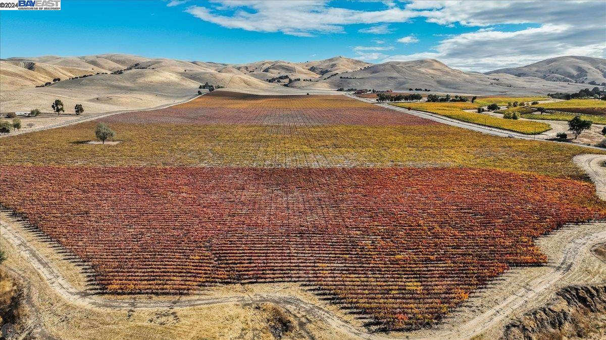 9846 Reuss Rd, Livermore, California 94550, ,Land,For Sale,9846 Reuss Rd,41079189