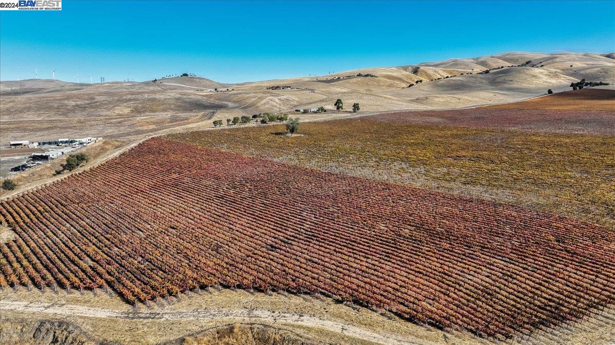 9846 Reuss Rd, Livermore, California 94550, ,Land,For Sale,9846 Reuss Rd,41079189