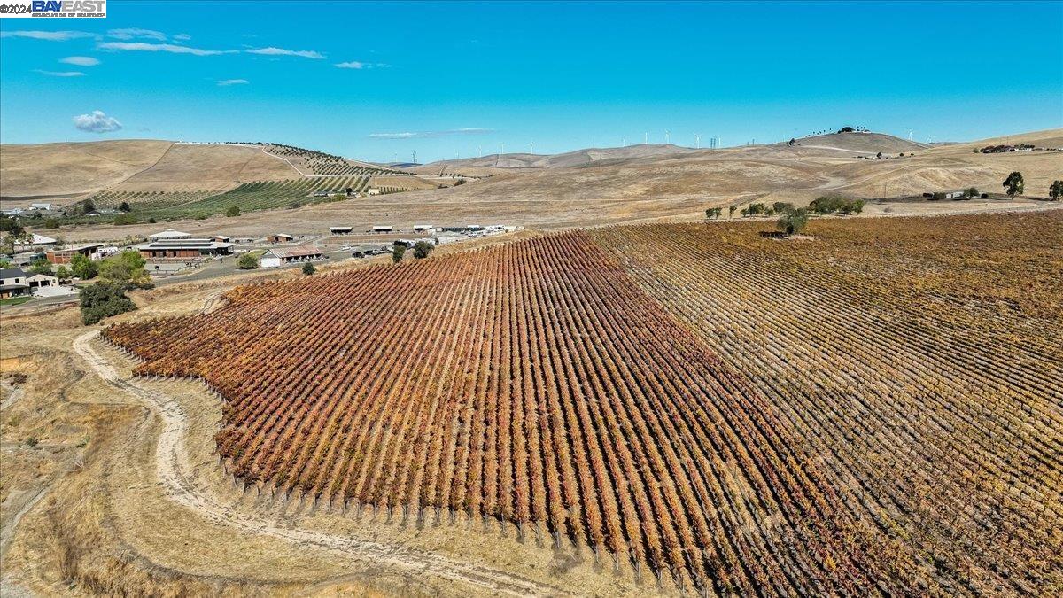 9846 Reuss Rd, Livermore, California 94550, ,Land,For Sale,9846 Reuss Rd,41079189