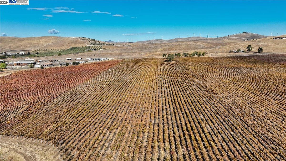9846 Reuss Rd, Livermore, California 94550, ,Land,For Sale,9846 Reuss Rd,41079189