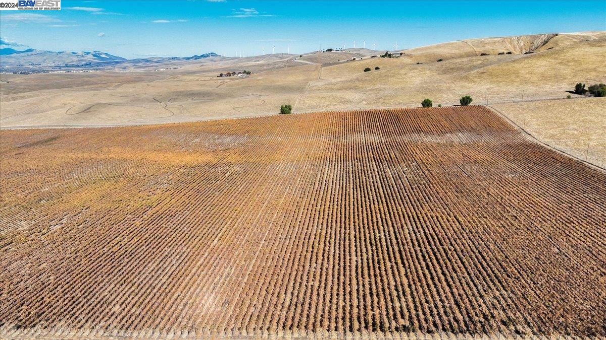 9846 Reuss Rd, Livermore, California 94550, ,Land,For Sale,9846 Reuss Rd,41079189