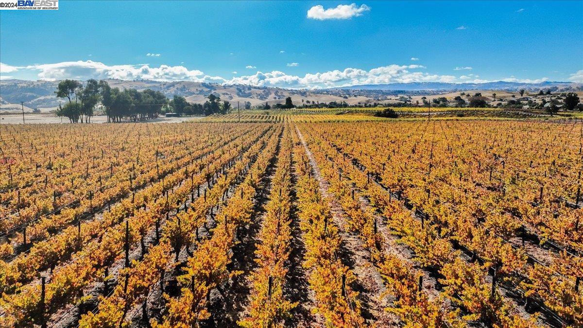 9846 Reuss Rd, Livermore, California 94550, ,Land,For Sale,9846 Reuss Rd,41079189