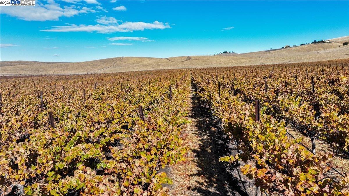 9846 Reuss Rd, Livermore, California 94550, ,Land,For Sale,9846 Reuss Rd,41079189