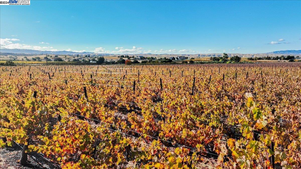 9846 Reuss Rd, Livermore, California 94550, ,Land,For Sale,9846 Reuss Rd,41079189