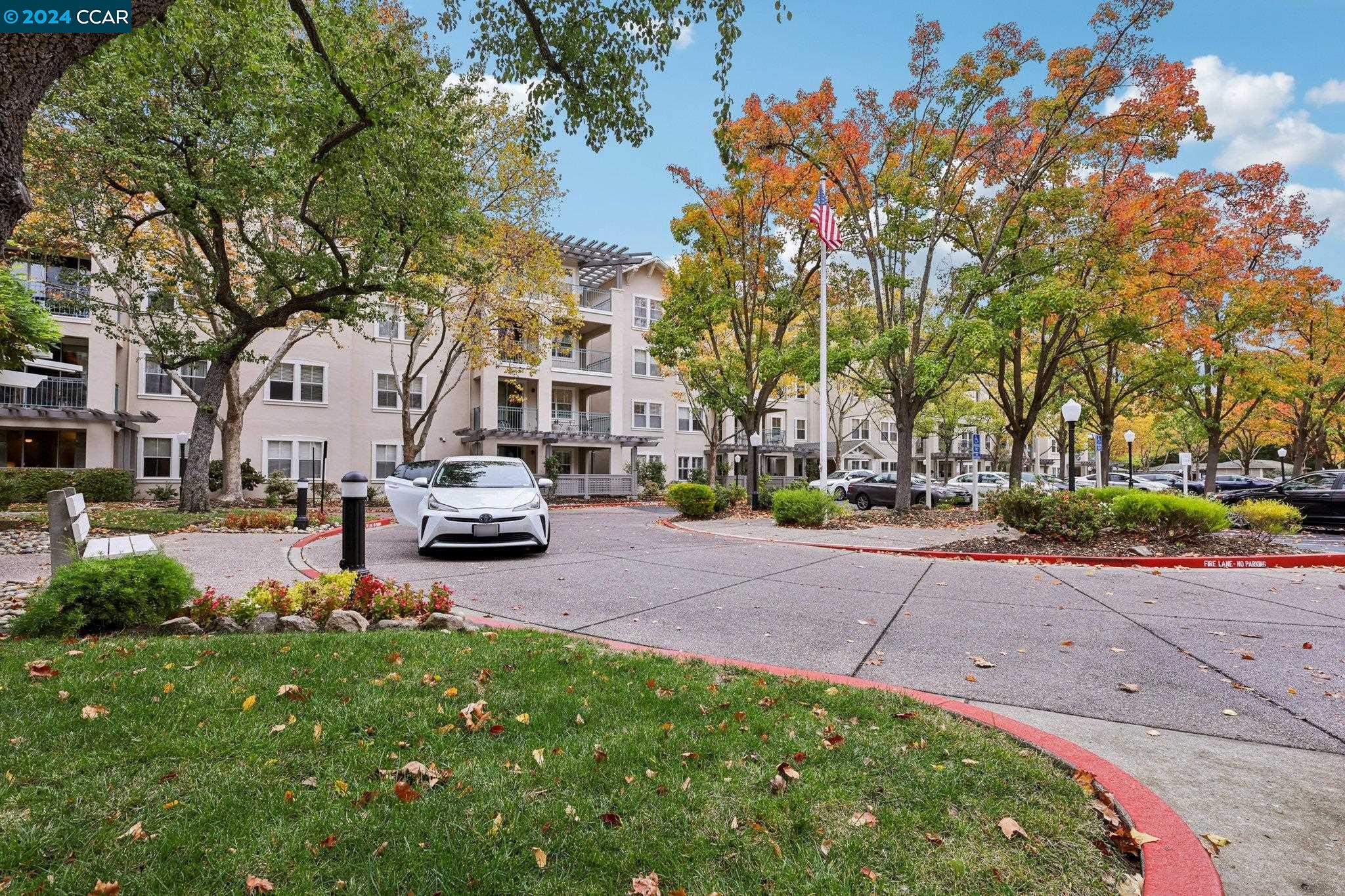 Photo #5: 41079535 Listing 