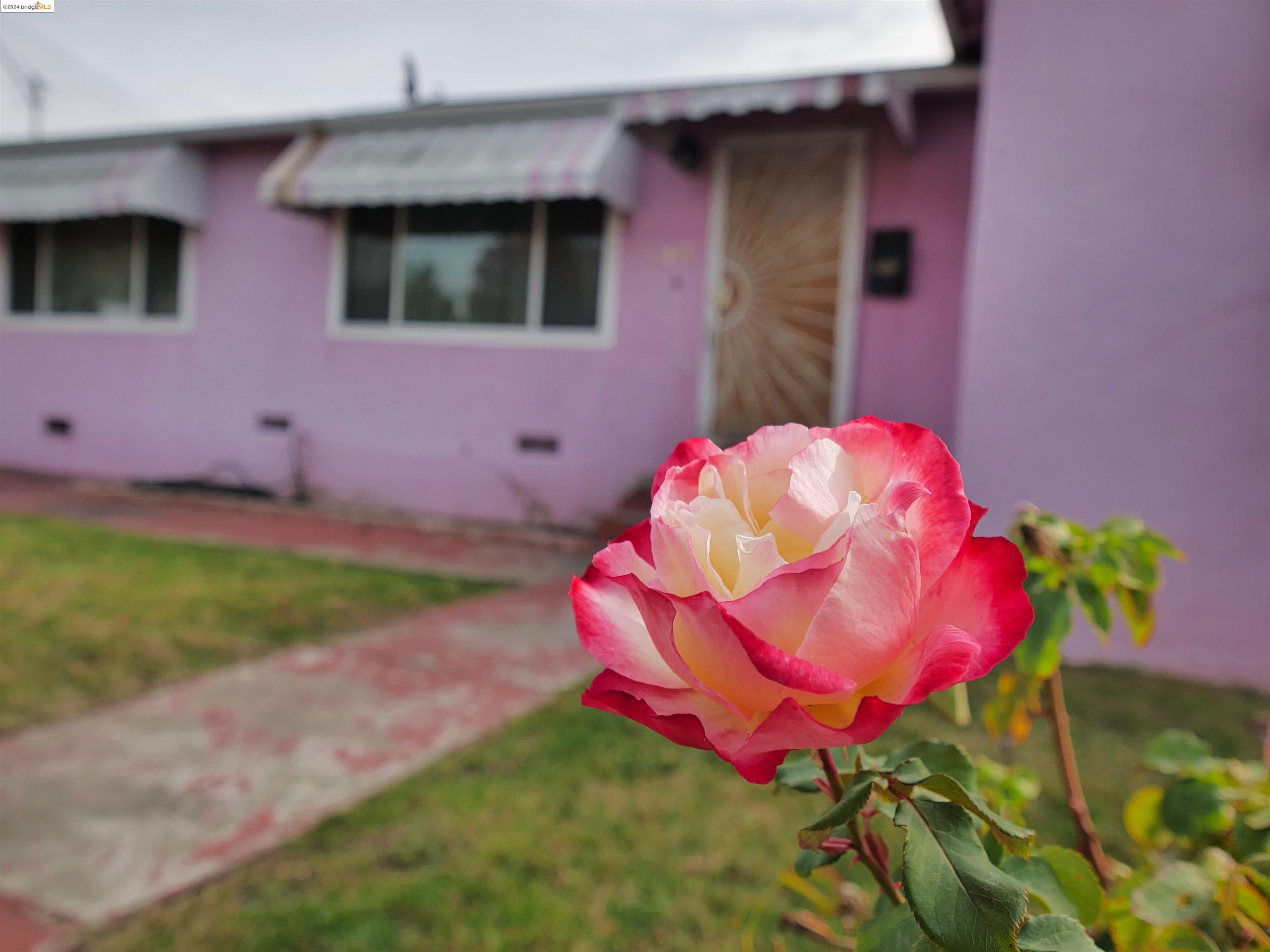 138 Eldridge Avenue, Oakland, California 94603, 3 Bedrooms Bedrooms, 6 Rooms Rooms,1 BathroomBathrooms,Residential,For Sale,138 Eldridge Avenue,41079615