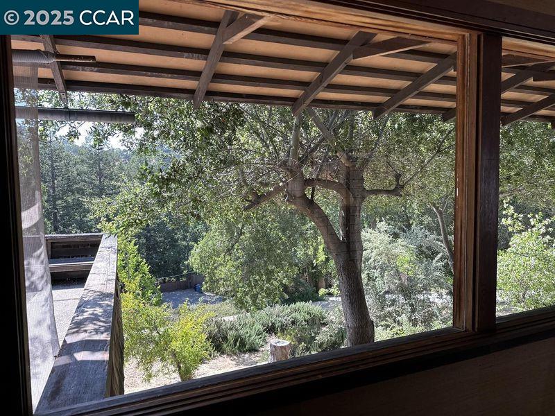 Detail Gallery Image 6 of 17 For 144 Castle Crest Rd, Alamo,  CA 94507 - 3 Beds | 1/1 Baths