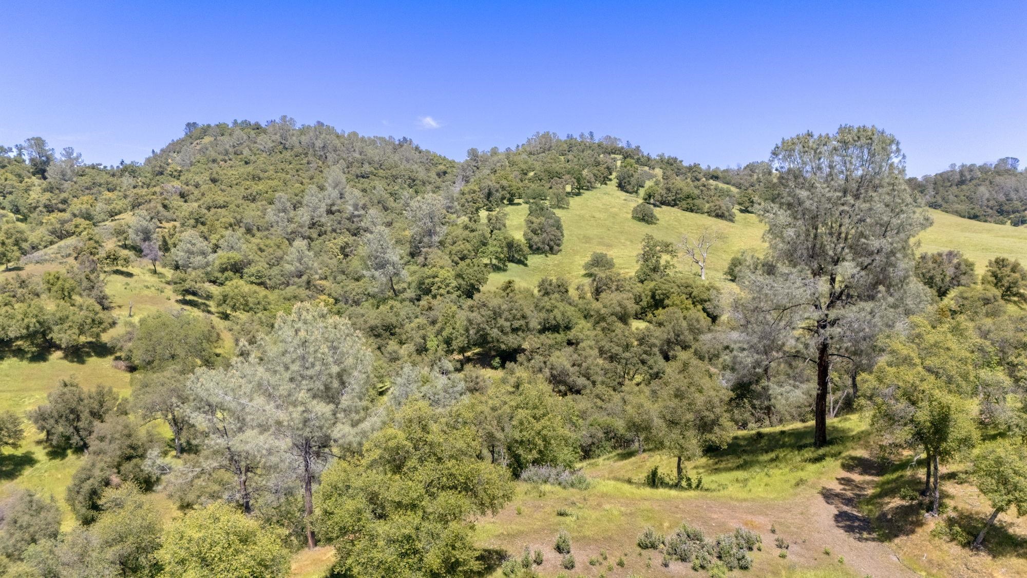 Detail Gallery Image 9 of 12 For 9082 Fraguro, Sonora,  CA 95370-0000 - – Beds | – Baths
