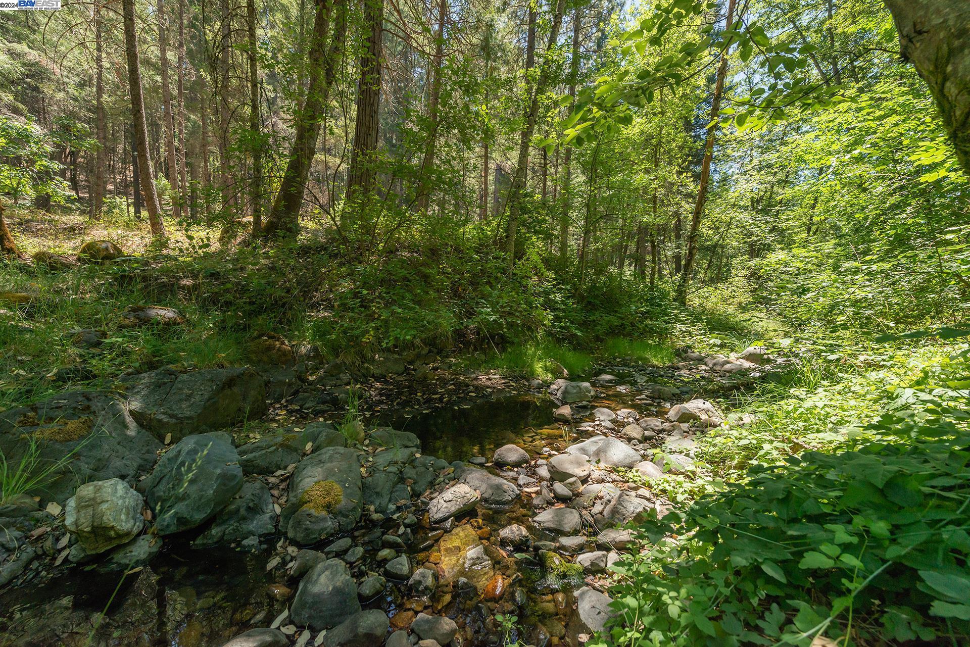 Detail Gallery Image 55 of 57 For 4298 Little Browns Creek Rd, Weaverville,  CA 96093 - 3 Beds | 1 Baths