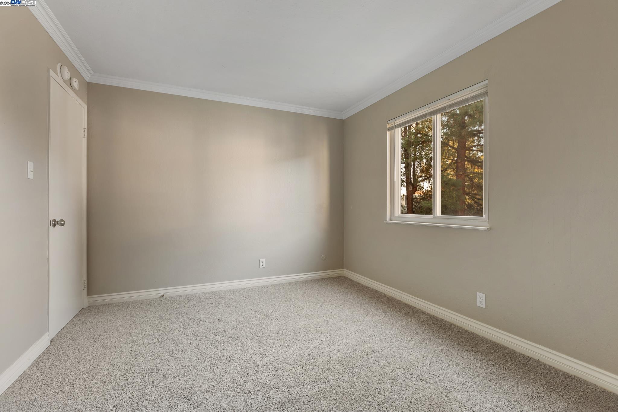 Photo #18: 41080371 Listing: Photo #18