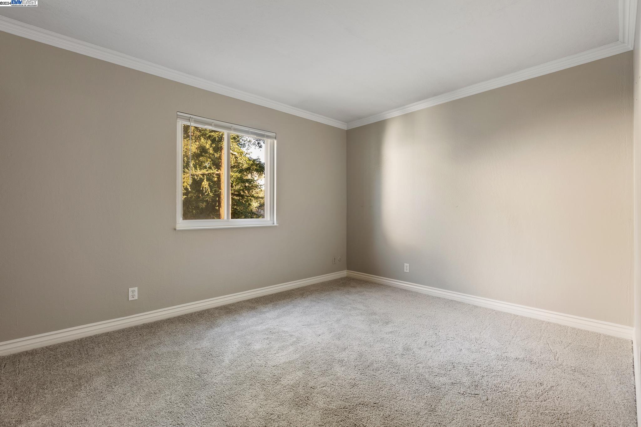 Photo #19: 41080371 Listing: Photo #19