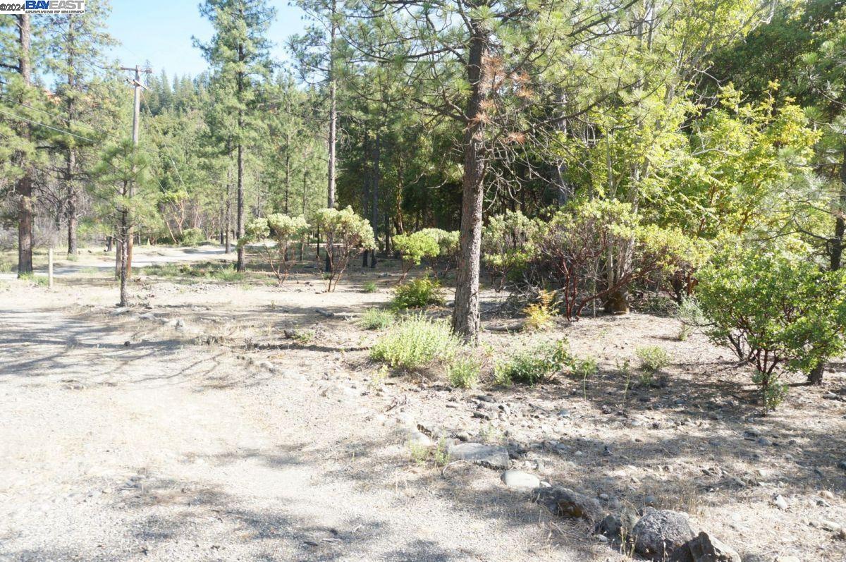 Detail Gallery Image 17 of 27 For 101 River Acres, –,  CA 96048 - – Beds | – Baths