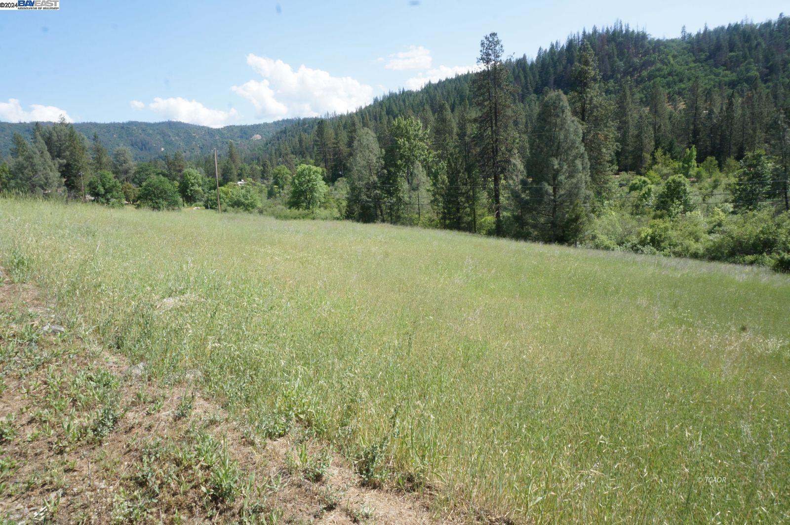 Detail Gallery Image 3 of 14 For 7640 Rush Creek Rd, Lewiston,  CA 96052 - – Beds | – Baths