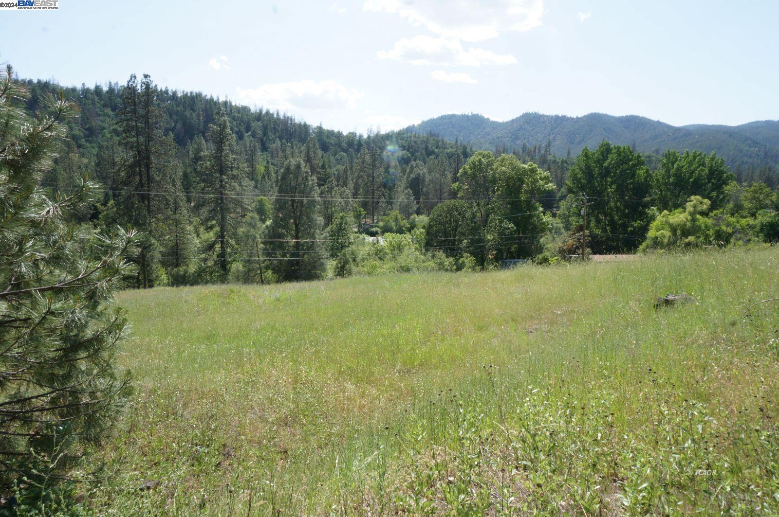 Detail Gallery Image 4 of 14 For 7640 Rush Creek Rd, Lewiston,  CA 96052 - – Beds | – Baths