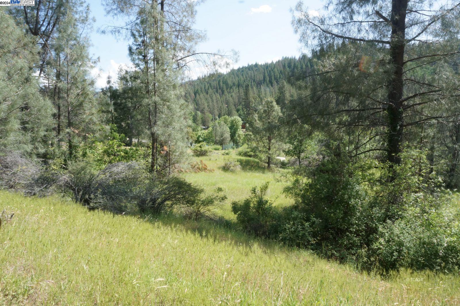 Detail Gallery Image 9 of 14 For 7640 Rush Creek Rd, Lewiston,  CA 96052 - – Beds | – Baths