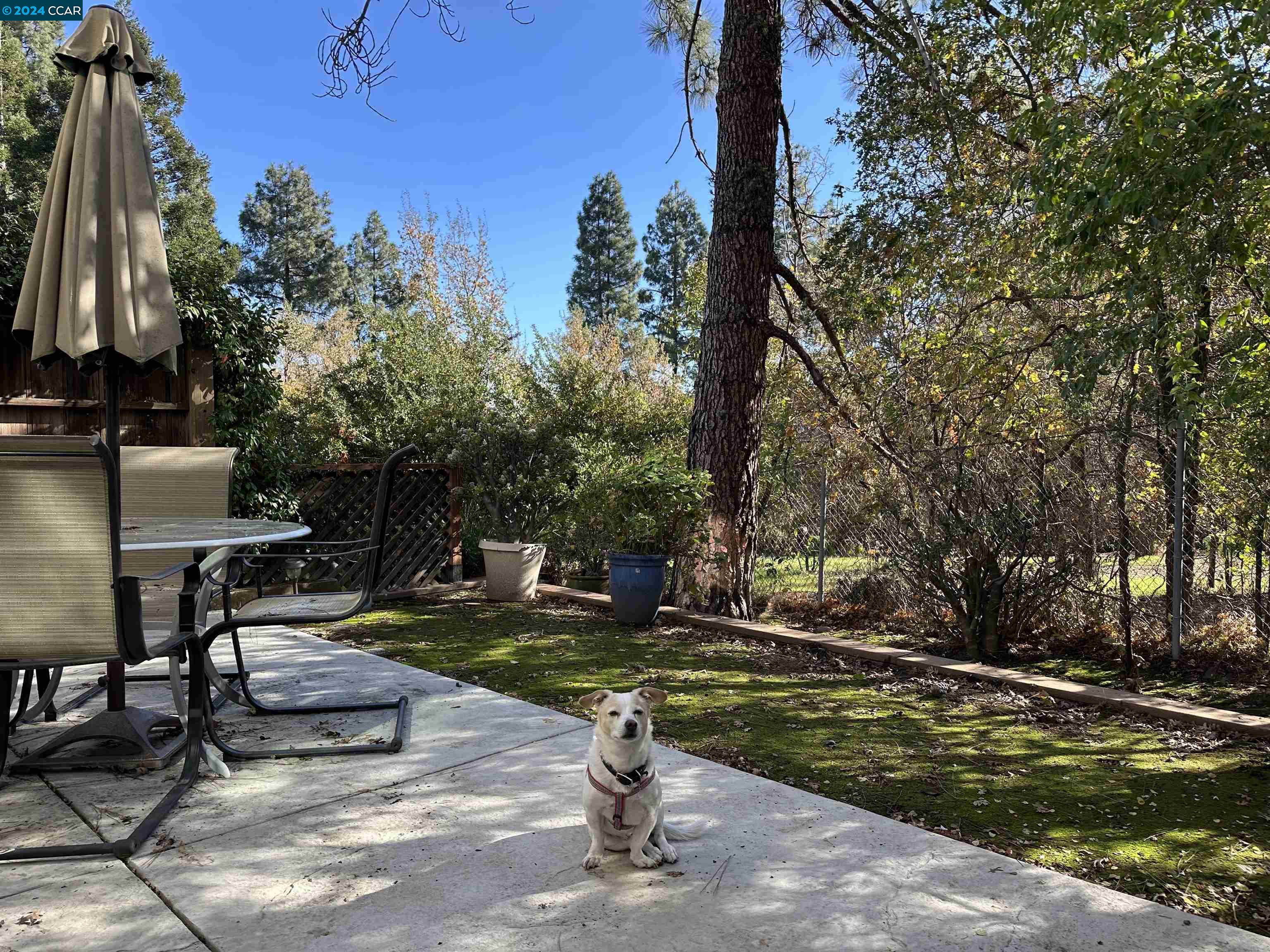 Photo #2: 41080706 Listing 