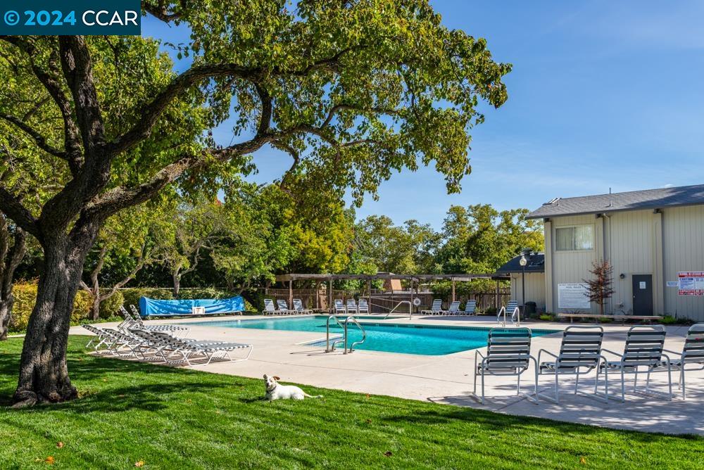 Photo #4: 41080706 Listing 