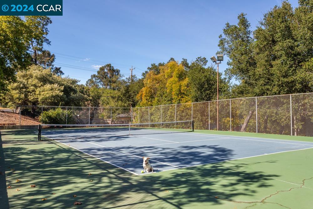 Photo #5: 41080706 Listing 