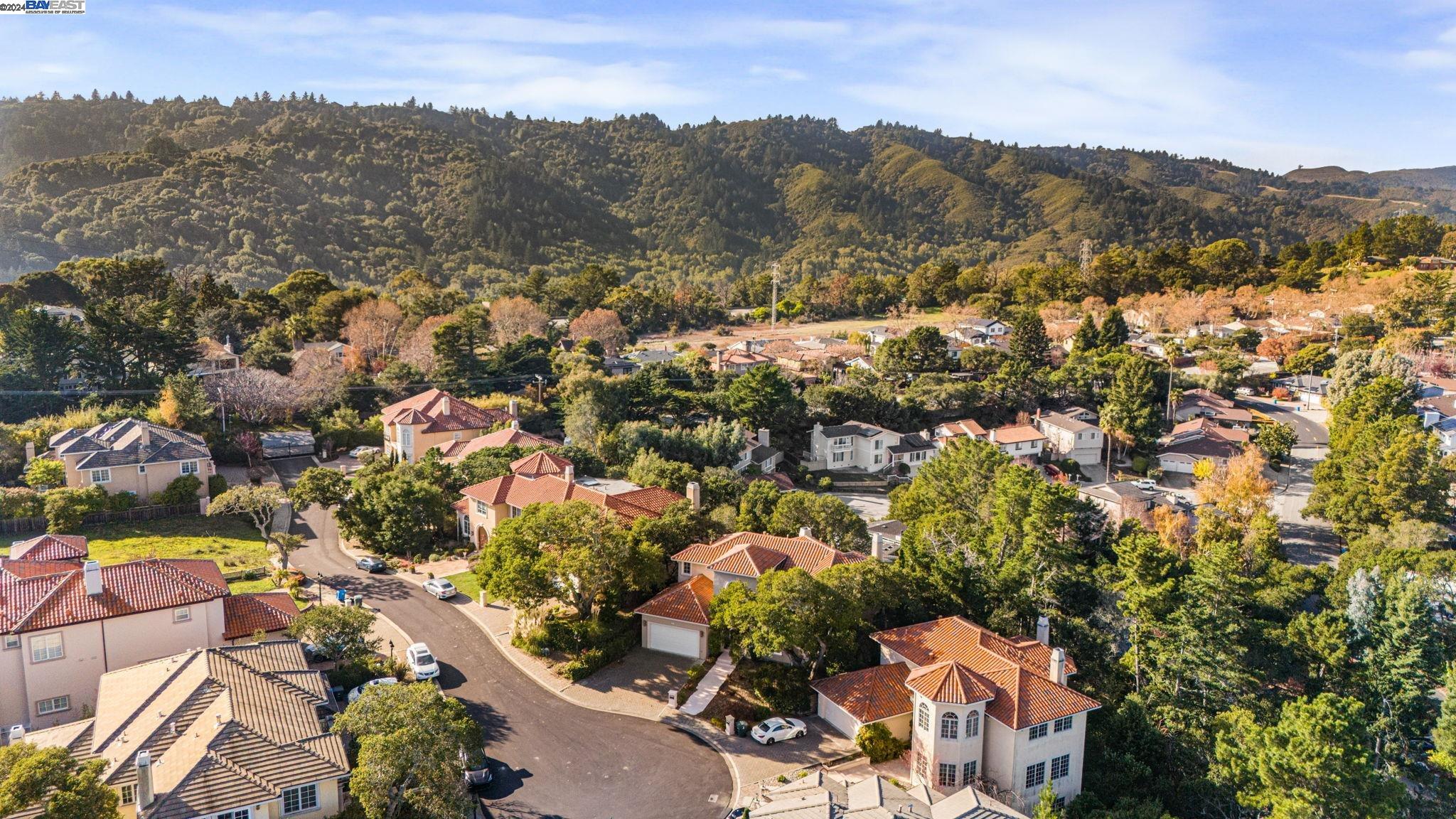 Detail Gallery Image 7 of 60 For 11 La Strada, Burlingame,  CA 94010 - 5 Beds | 4/1 Baths