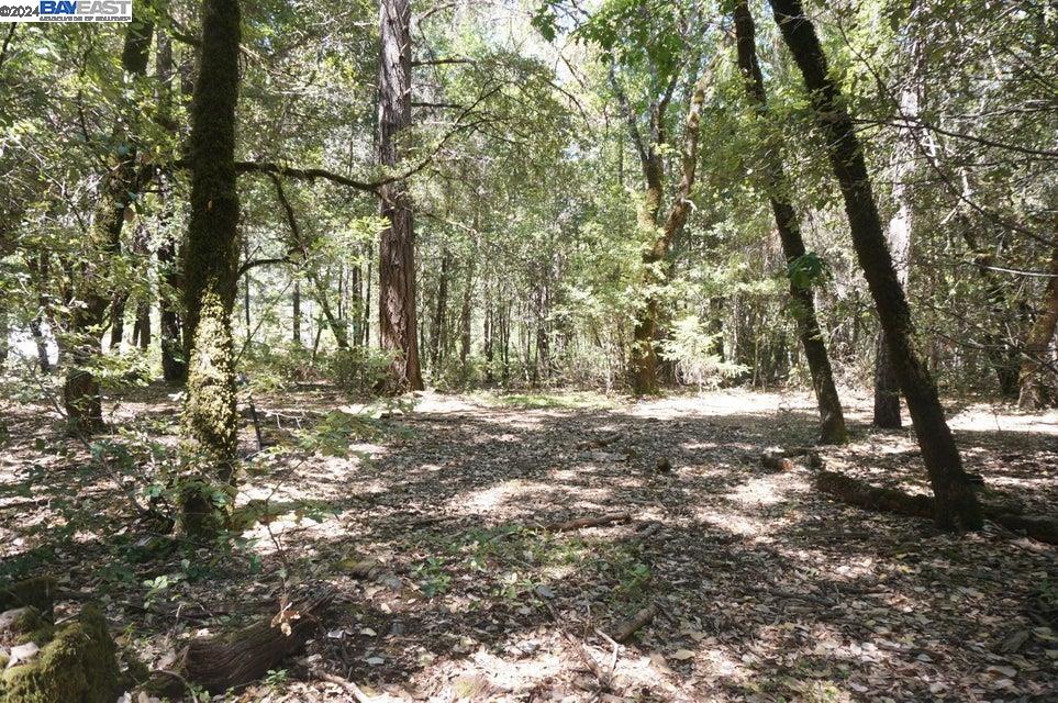Detail Gallery Image 7 of 7 For 800 Suzy Q Rd, Salyer,  CA 95527 - – Beds | – Baths