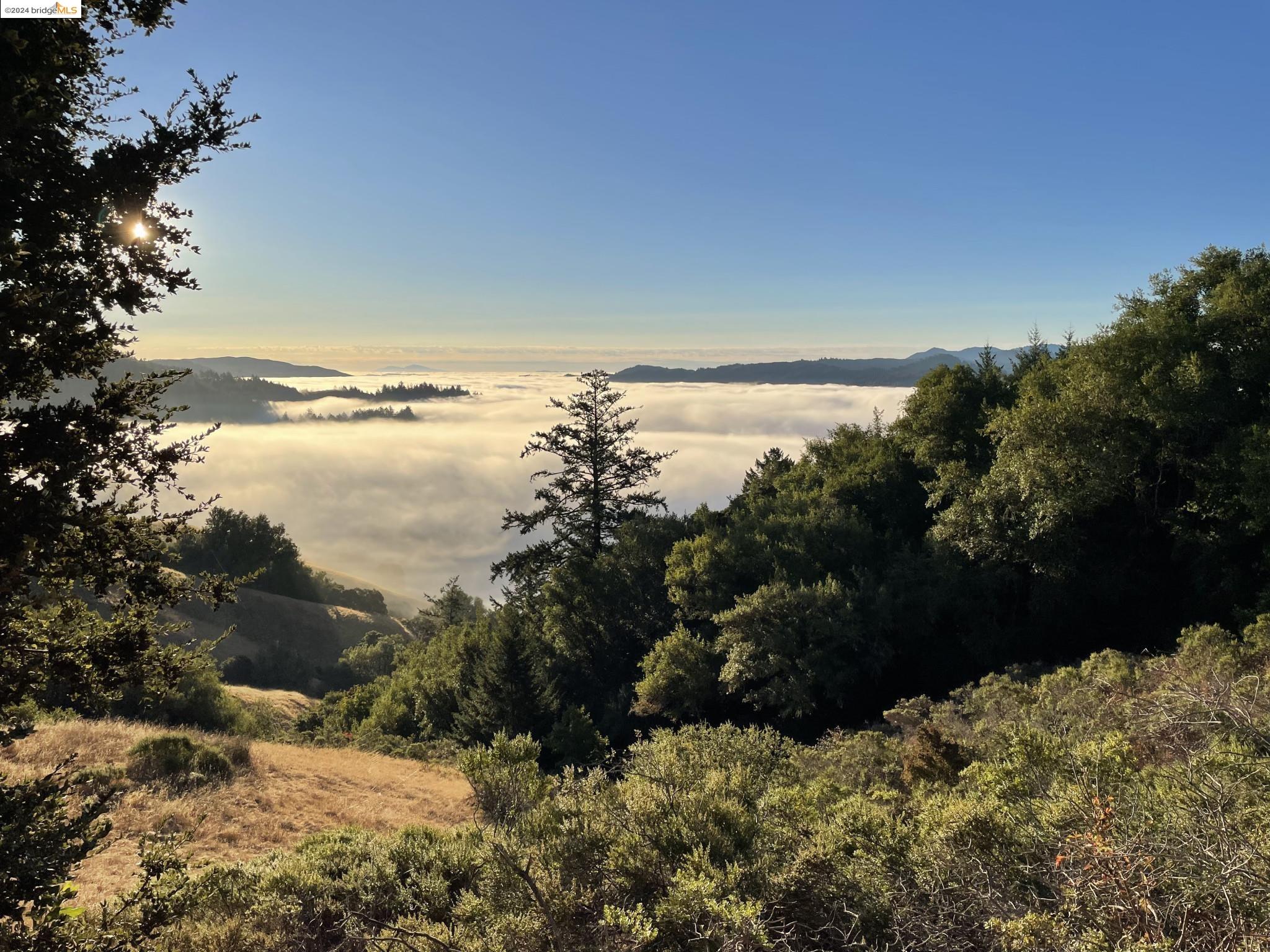 Detail Gallery Image 11 of 12 For Mountain King Rd, Lagunitas,  CA 94938 - – Beds | – Baths