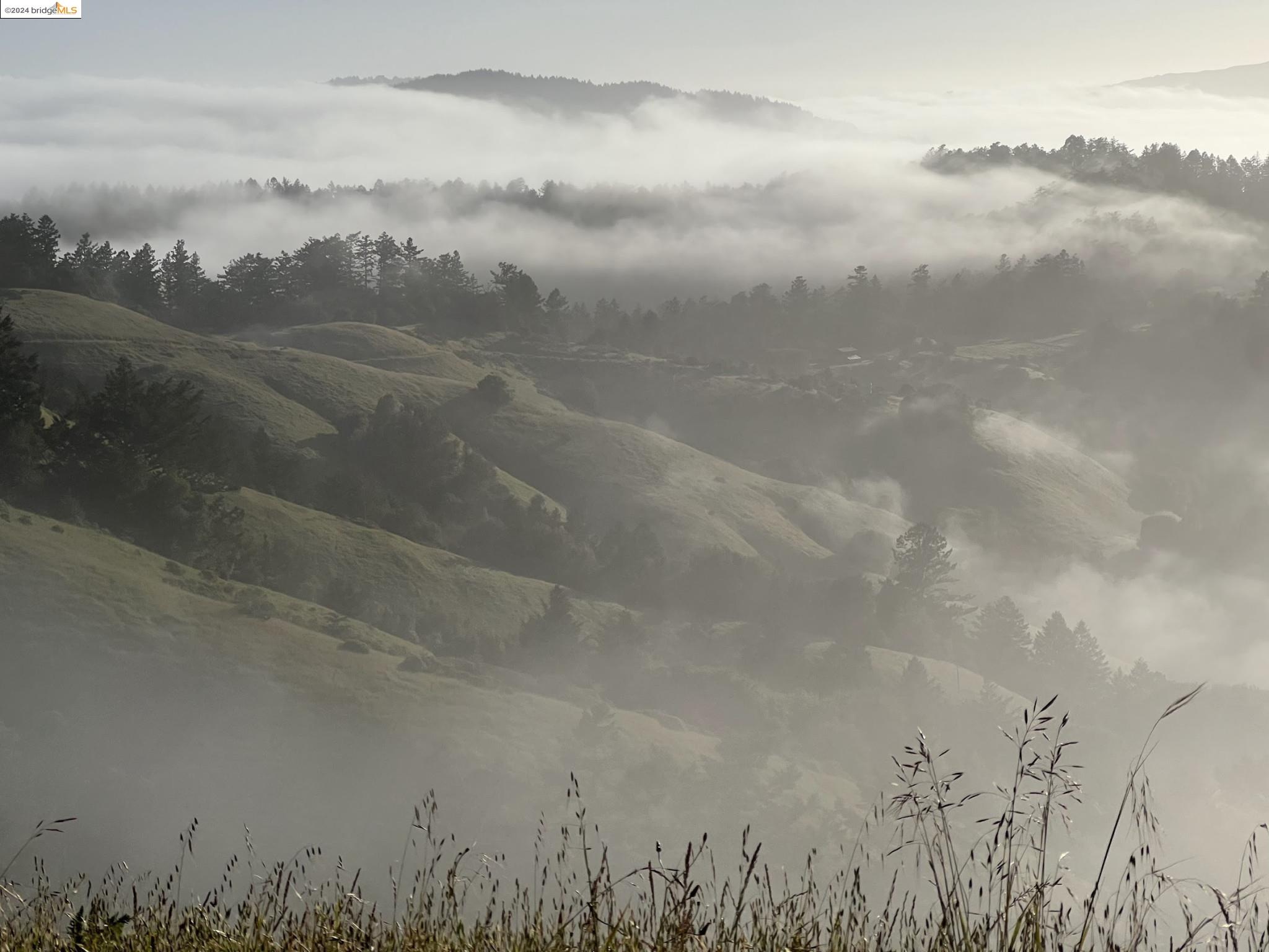Detail Gallery Image 9 of 12 For Mountain King Rd, Lagunitas,  CA 94938 - – Beds | – Baths